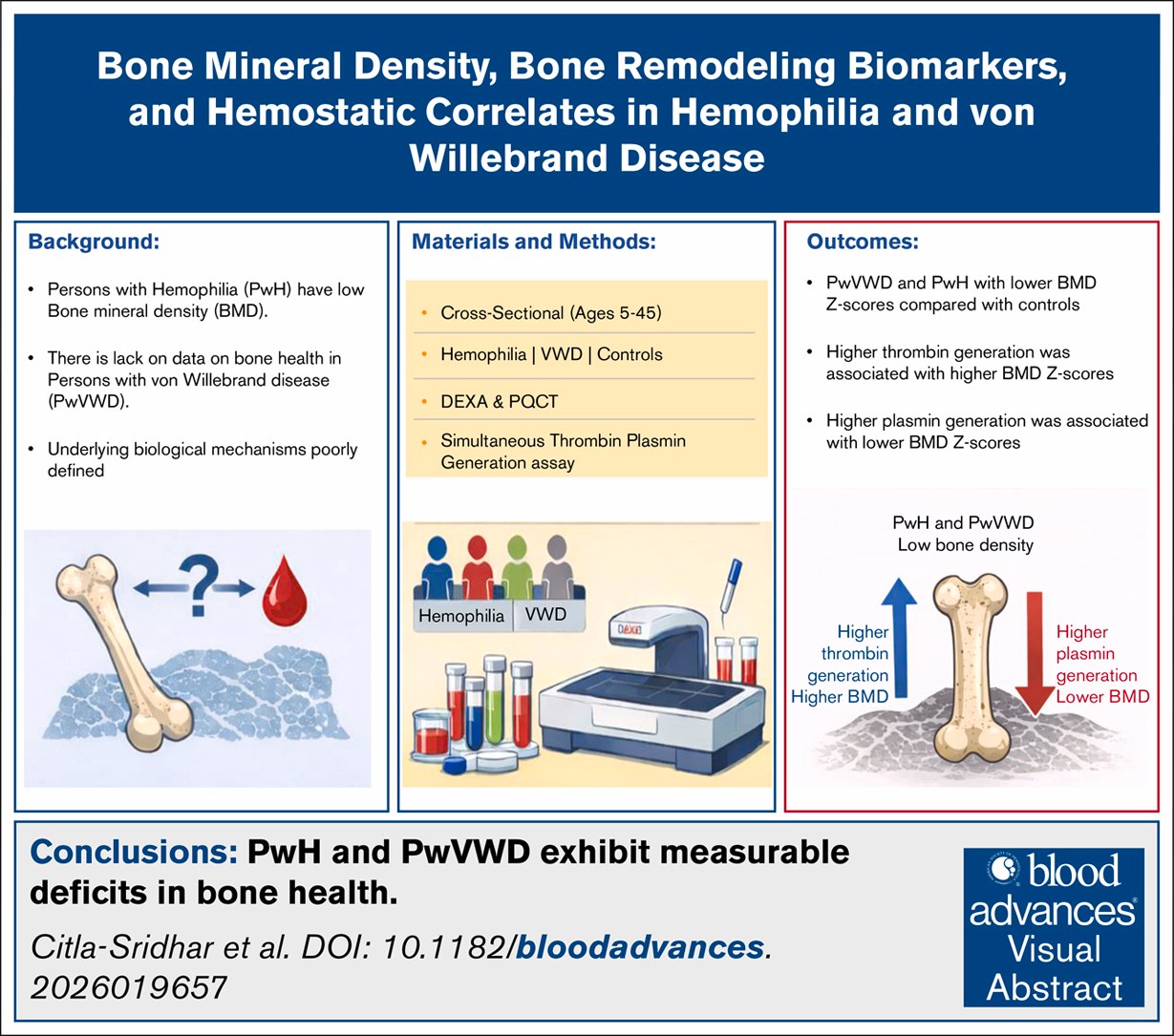 Bone Mineral Density, Bone Remodeling Biomarkers, and Hemostatic Correlates in Hemophilia and von Willebrand Disease